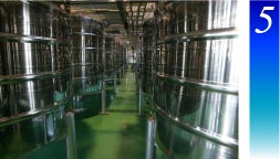 泡盛の製造工程5